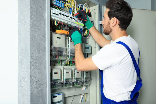 Best Electric Panel Repair  in Westville, IN